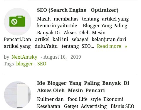 SEO (Search Engine Optimizer)