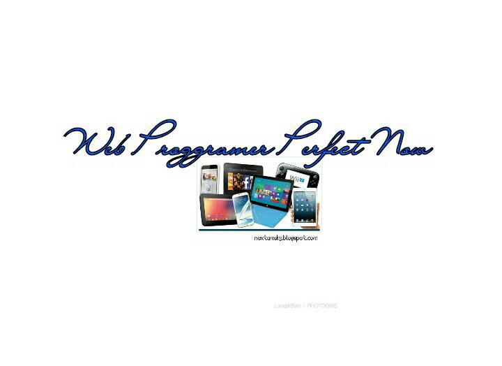 Web Proggramer Perfect Now